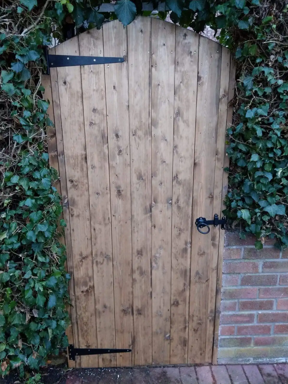 Rustic arched wooden garden gate with decorative black ironwork and ring latch