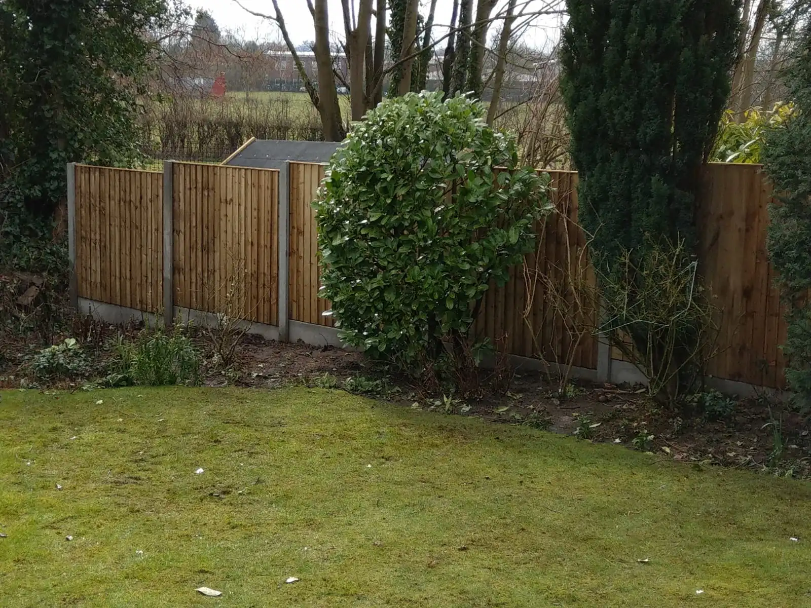 Featherboard panel fencing with concrete posts and garden shed in background